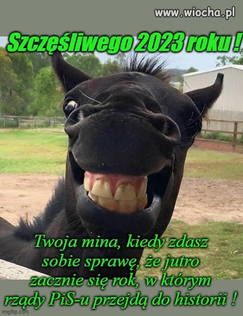 Przyjaciołom zdrowia, a wrogom mądrości
