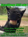 Przyjaciołom zdrowia, a wrogom mądrości