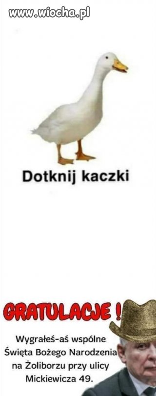 Dotknij a wygrasz.