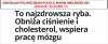 Jarosław 
