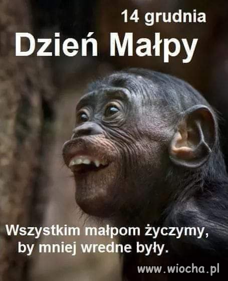 Dla naszych kochanych kobiet