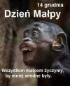 Dla naszych kochanych kobiet