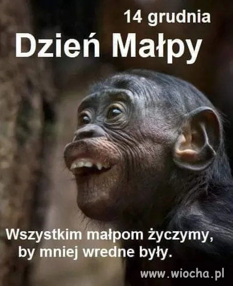 Dla naszych kochanych kobiet