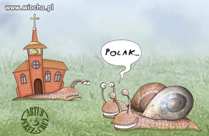 Tak nas widzą 