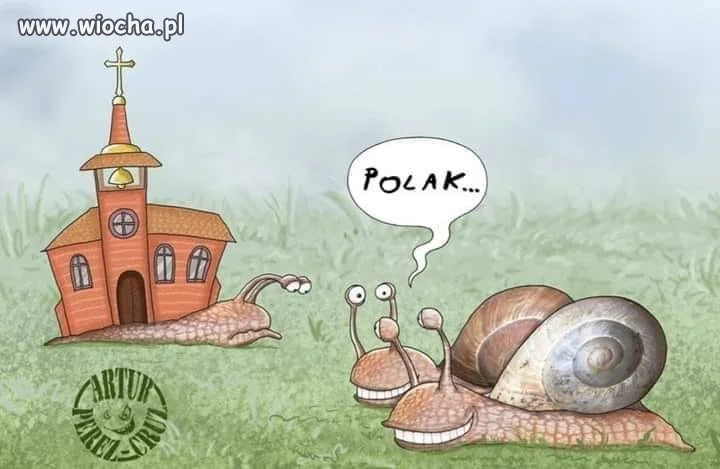 Tak nas widzą 
