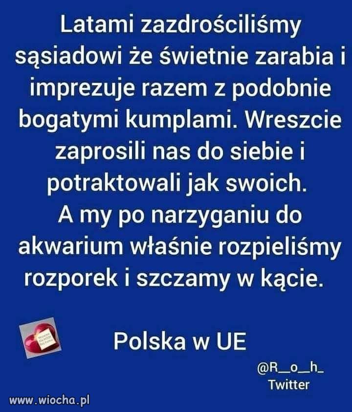 Niestety prawda; nie wszyscy Polacy, ale na pewno pisowcy