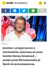 Młody wilk 