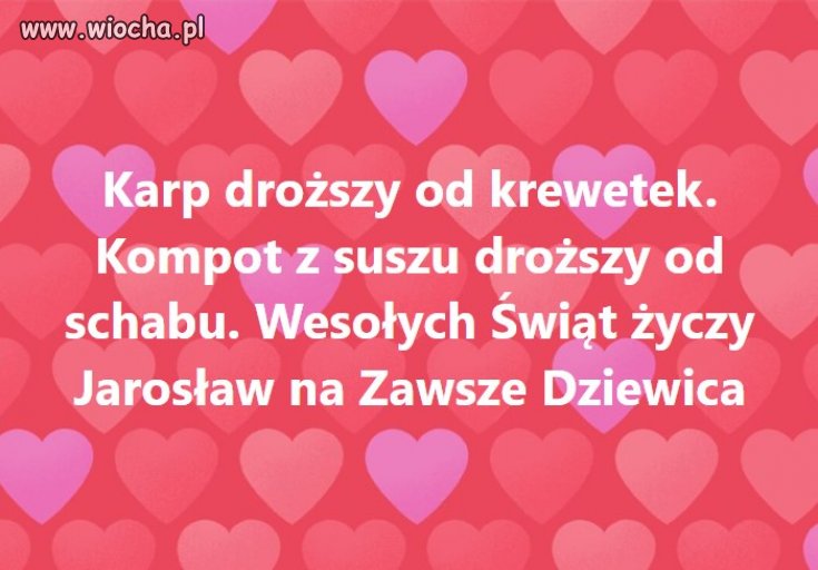 Jak tam ośmiorniczki? Dobra cena???