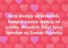 Jak tam ośmiorniczki? Dobra cena???