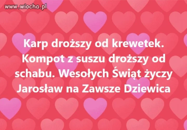 Jak tam ośmiorniczki? Dobra cena???