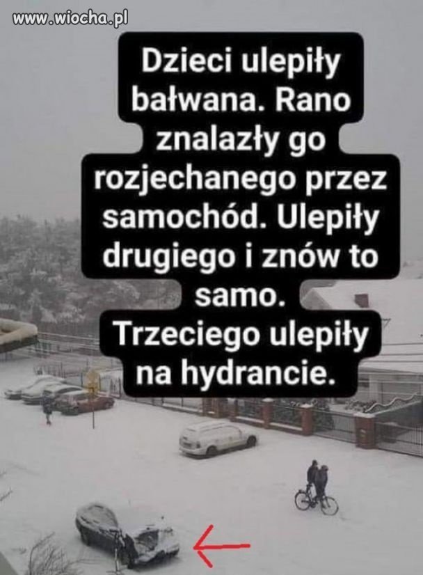 Zimowy klasyk