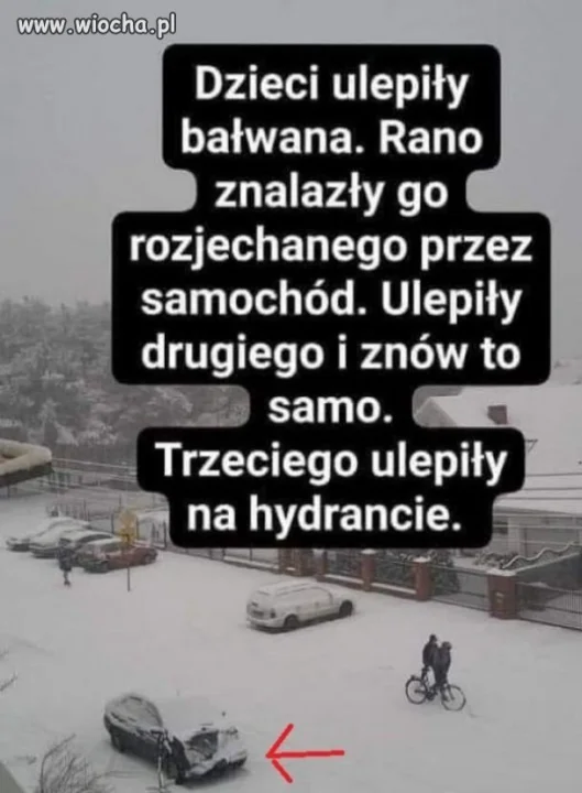 Zimowy klasyk