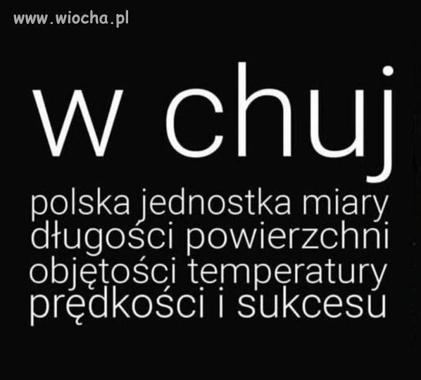 Miara grabieży jakiej PIS dokonał na Polsce