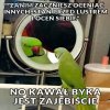 Każdy mógłby by być kimś innym 