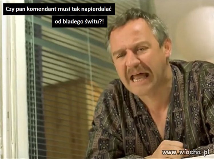 Genialne to jest