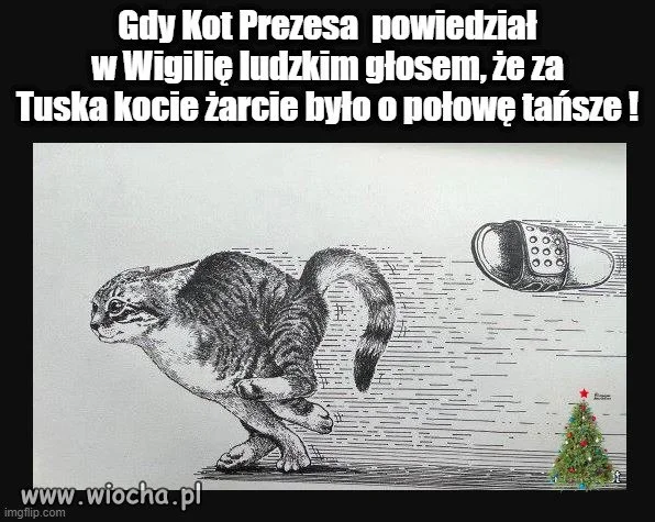 Pasterze śpiewają ,bydlęta klękają