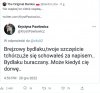 Czym się zajmuje "sędzia " T.K
