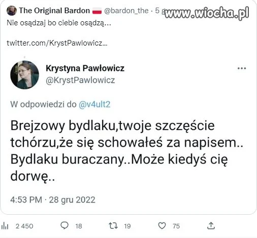 Czym się zajmuje "sędzia " T.K