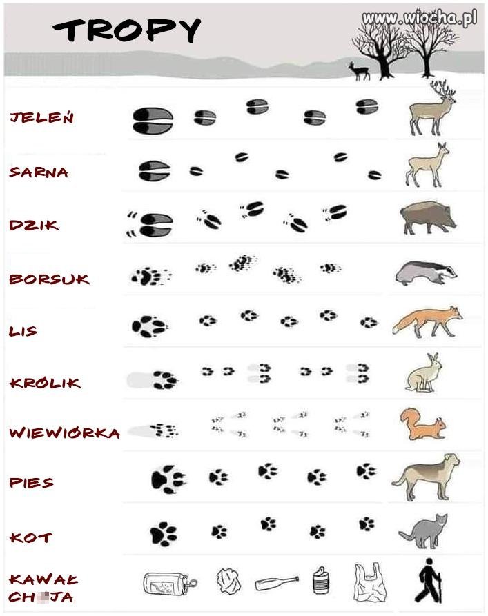 Ostatni najlepszy