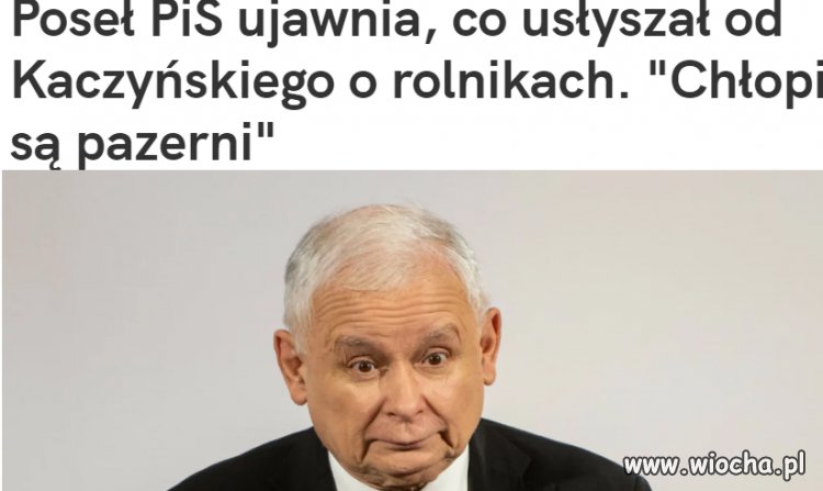 Do pazerności pisowców to im daleko