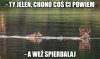 Jak w życiu