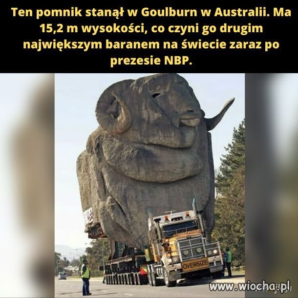 Taka sytuacja 