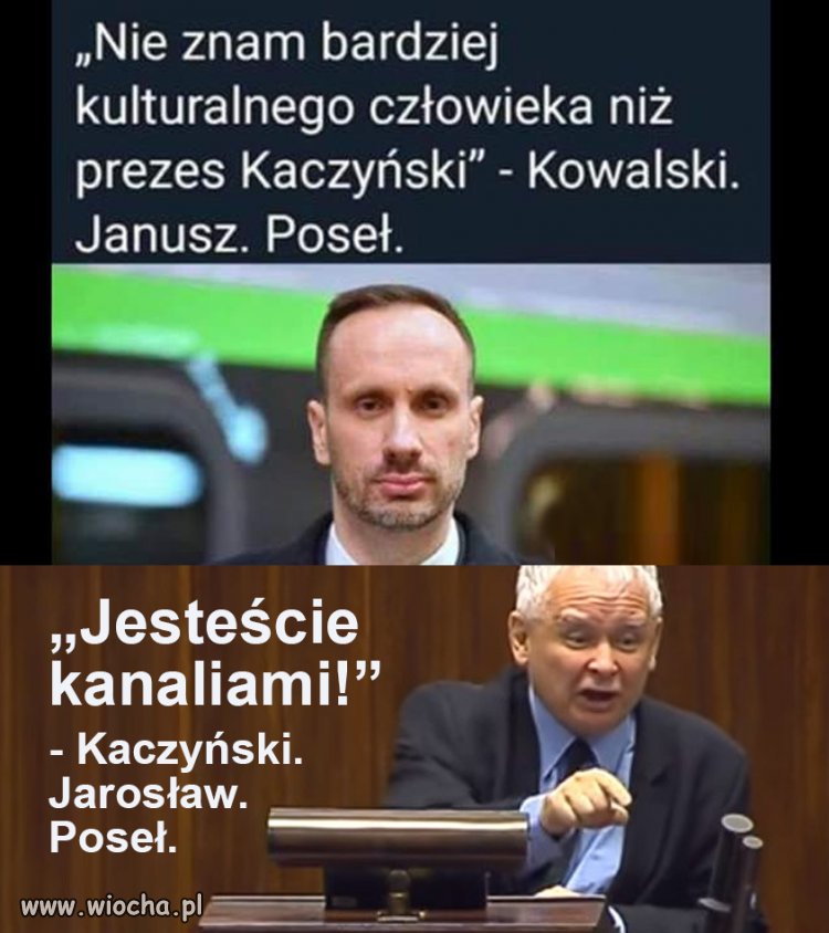 D00powłaz wspaniały i stary ramol   