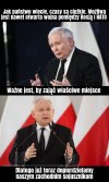 Bez złudzeń 
