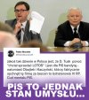 Polska pisonów
