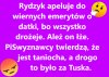 No pisiory na jednej nodze do chujtadzia z kasą.