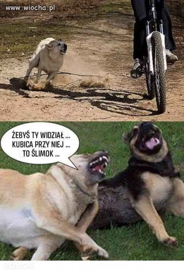 Tak sobie