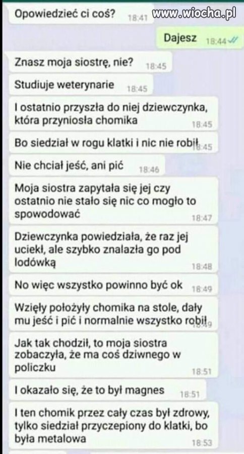 Metalowa klatka
