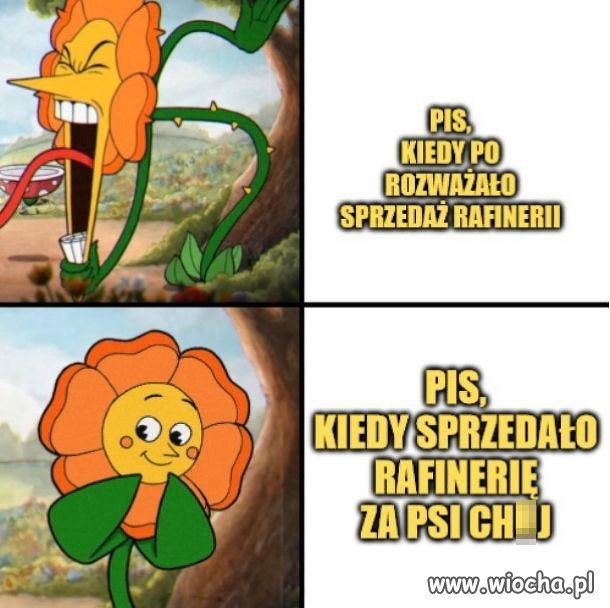 Prawda o PiSdebilach