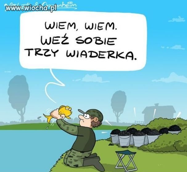 Złota rybka