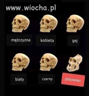 Znalezione