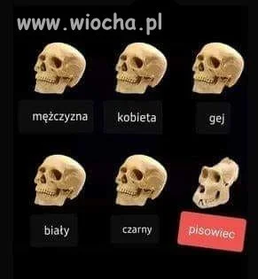 Znalezione