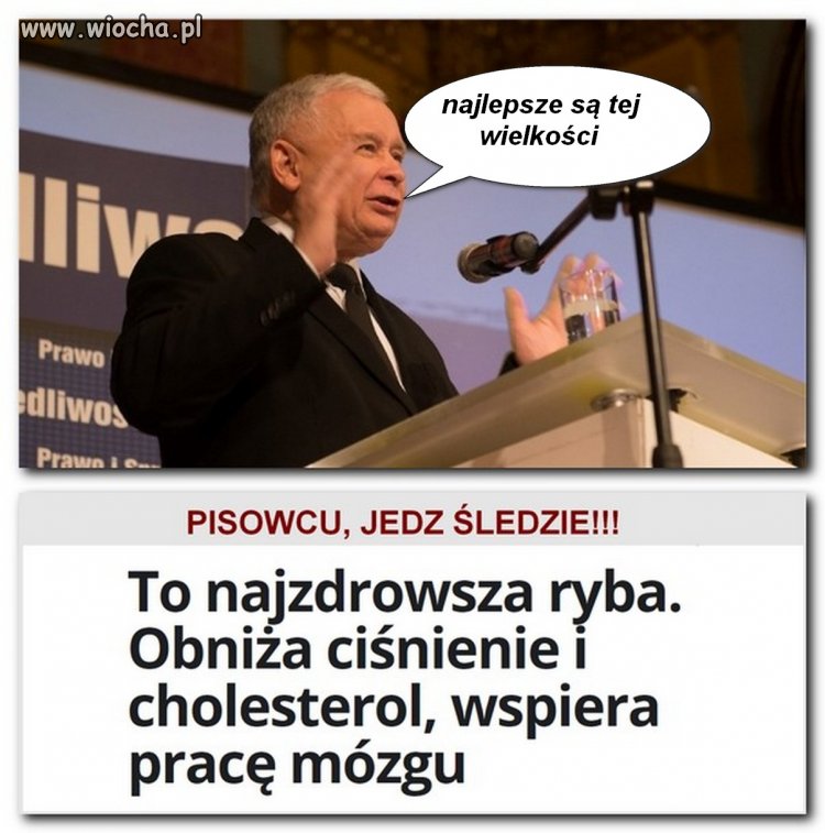 Pisuary jedzcie śledzie