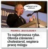 Pisuary jedzcie śledzie