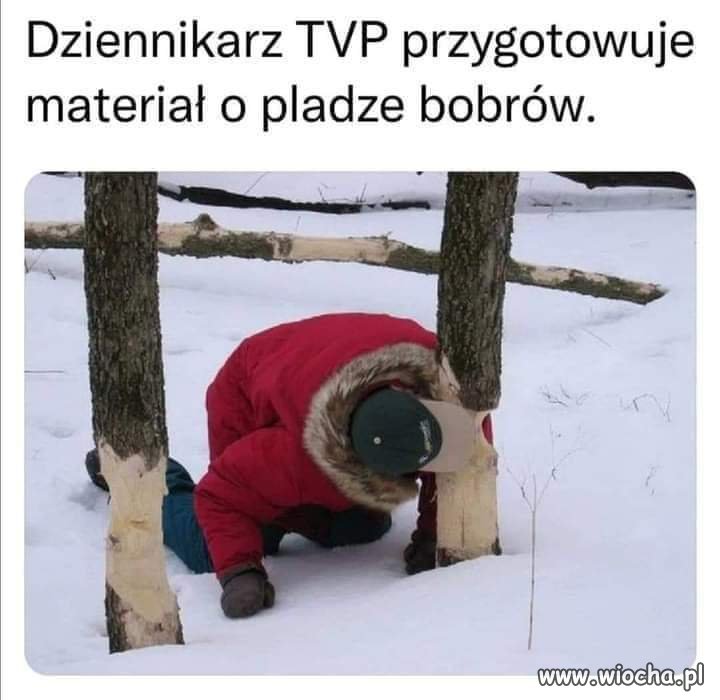 Z życia wzięte ...