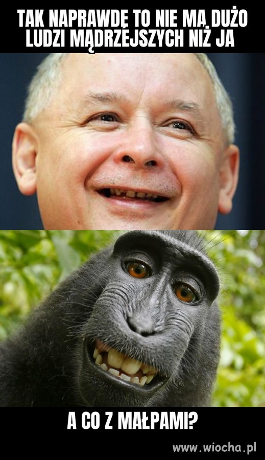 Otóż to 