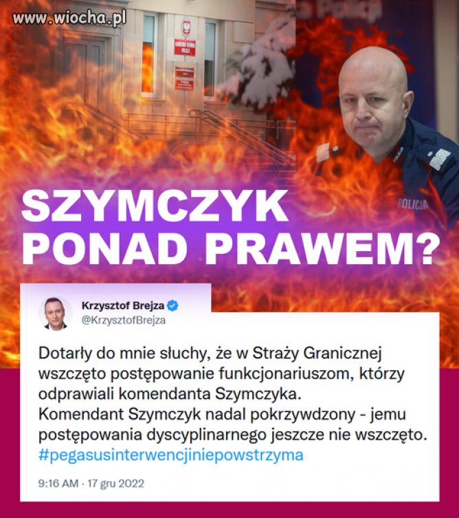 Święta krowa
