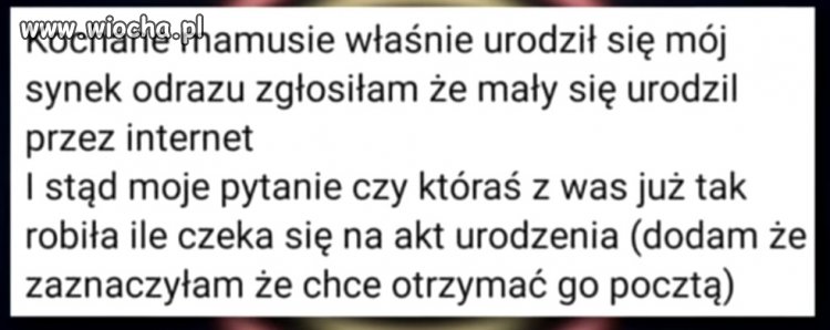 Pięćset plus?