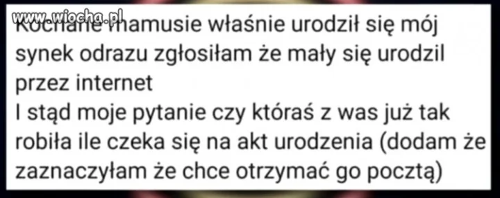 Pięćset plus?