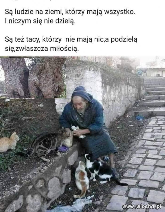 Potwierdzam