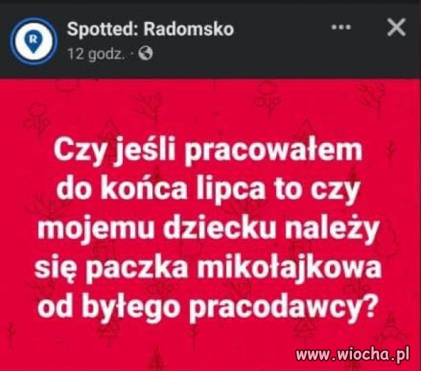 Problemy przeciętnego pisiora