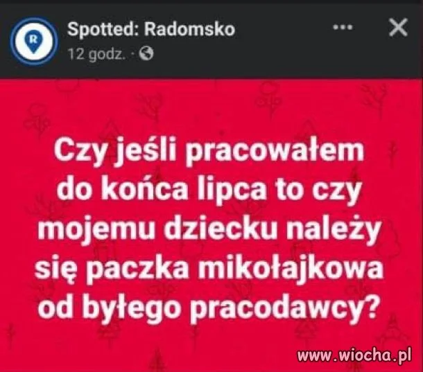 Problemy przeciętnego pisiora