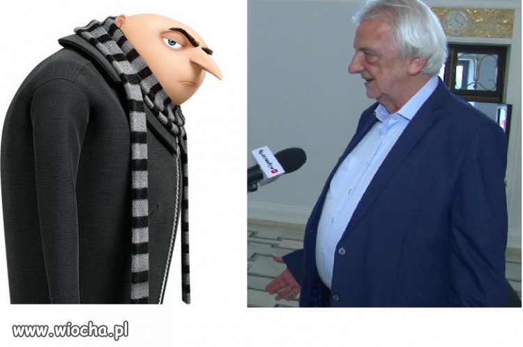 A wyborcy to takie minionki