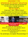 Tak wyglądają "sukcesy" PiSu w praktyce...