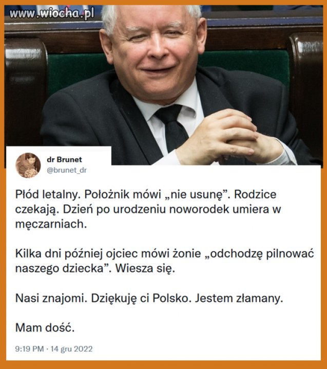 Pisowskie ścierwa