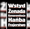 Kiedy chcesz opisać popieranie PiS 